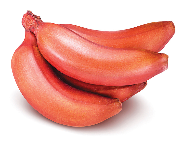 營養勝香蕉！ 推薦吃紅皮蕉的五個理由