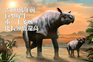 2500萬年前巨型犀牛 重二十多噸比長頸鹿還高