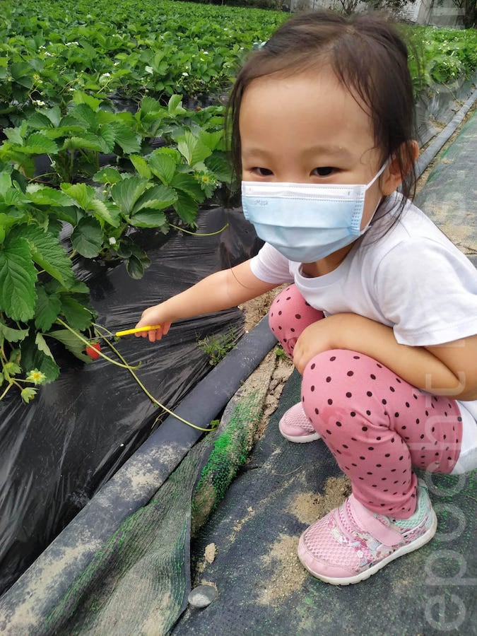 Jo的女兒走訪農場認識自然，學會珍惜得來不易的果實。（受訪者提供）