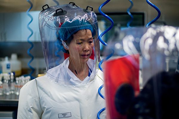 圖為中國武漢病毒研究所P4實驗室的石正麗研究員在進行實驗。(JOHANNES EISELE/AFP via Getty Images)