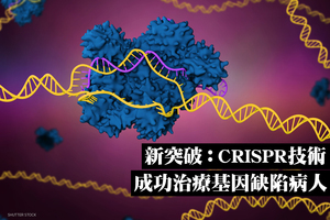 新突破：CRISPR技術成功治療基因缺陷病人