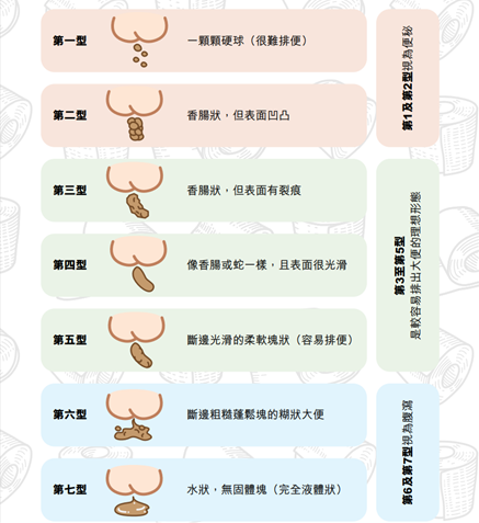 布里斯托大便分類法(Bistol stool scale)（ 香港腸胃動力學會 提供圖片）