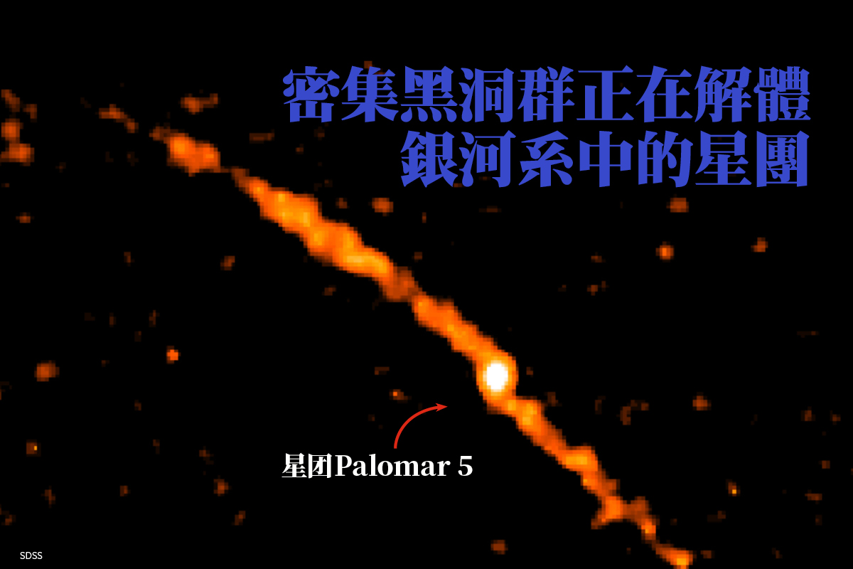 编号为Palomar 5 是一个独特的星团。它具有大量明亮的尾巴，其中含有丰富的潜力。这一系列非常长，长度达到三万光年。（图片来源：SDSS）