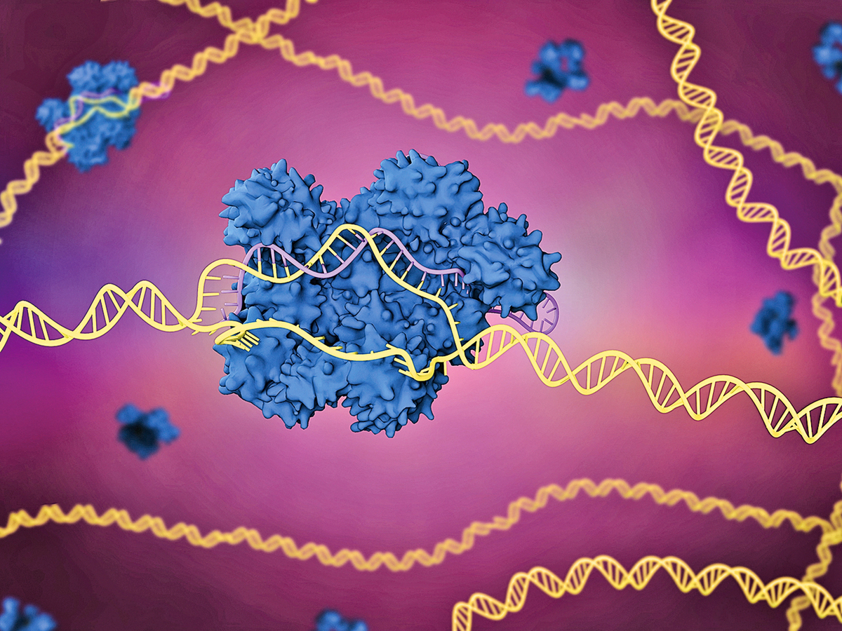 CRISPR 基因編輯技術概念圖。最新的研究通過全身給藥的方式成功編輯有缺陷基因，大大降低致病蛋白的生成，從而治癒病人。