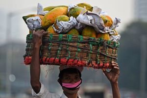 印度批發價格6月年漲12% 木瓜比一年前貴近一倍