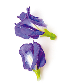 蝶豆花的花瓣泡入飲料中會釋出療癒的紫羅蘭色調。