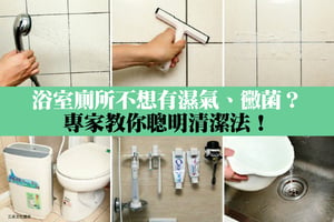 浴室廁所不想有濕氣、黴菌？專家教你清潔法