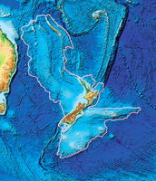新西蘭地底下 發現失落的大陸