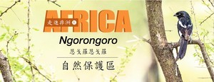 【走進非洲 ⑥】Ngorongoro 恩戈羅恩戈羅自然保護區