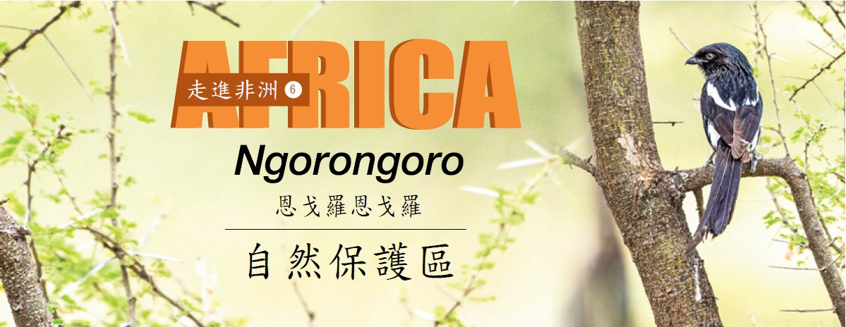 【走進非洲 ⑥】Ngorongoro 恩戈羅恩戈羅自然保護區