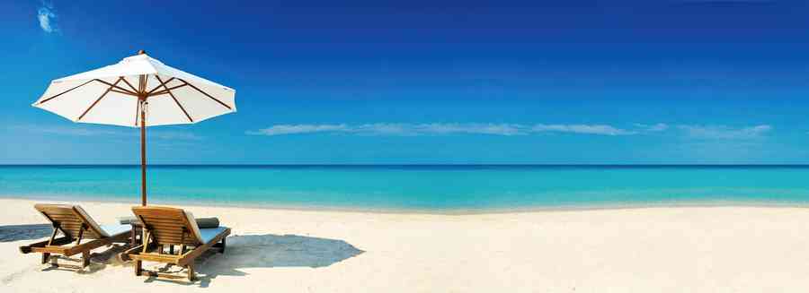 手作夏日飲品  古早味仙草茶