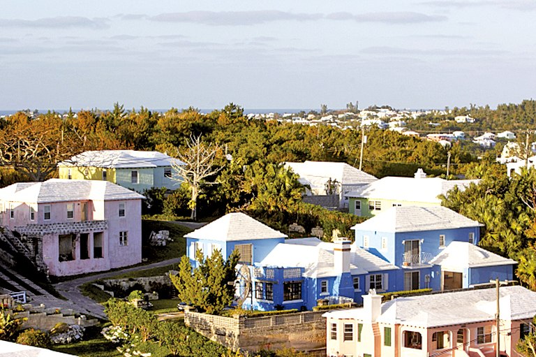 百慕達家家戶戶都有白色屋頂？