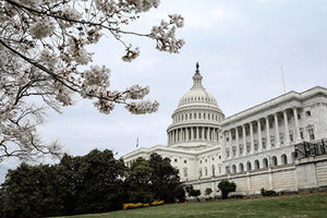 美國參院投票終止對基建法案的辯論