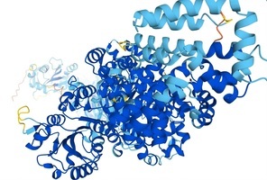 AI技術預測蛋白結構 期望抑制癌症基因