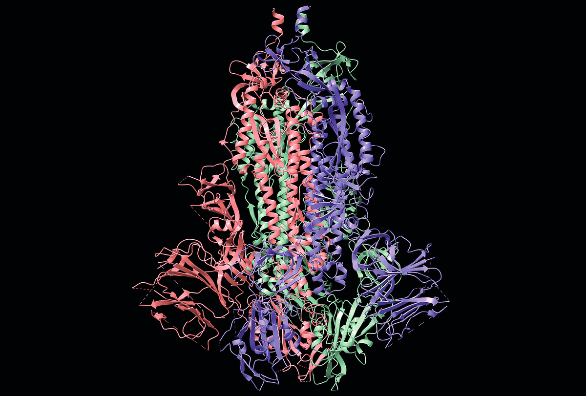 蛋白質的三維結構相當複雜，此為中共病毒的棘蛋白三維模型。（Shutter Stock）