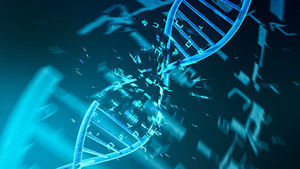 研究 某些病毒DNA內發現第五種鹼基