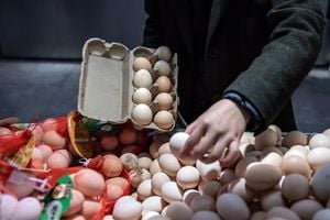 大陸雞蛋價格持續上漲  環比漲近20％