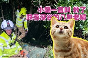 英國小貓一直叫 救了跌落深谷的8旬老婦