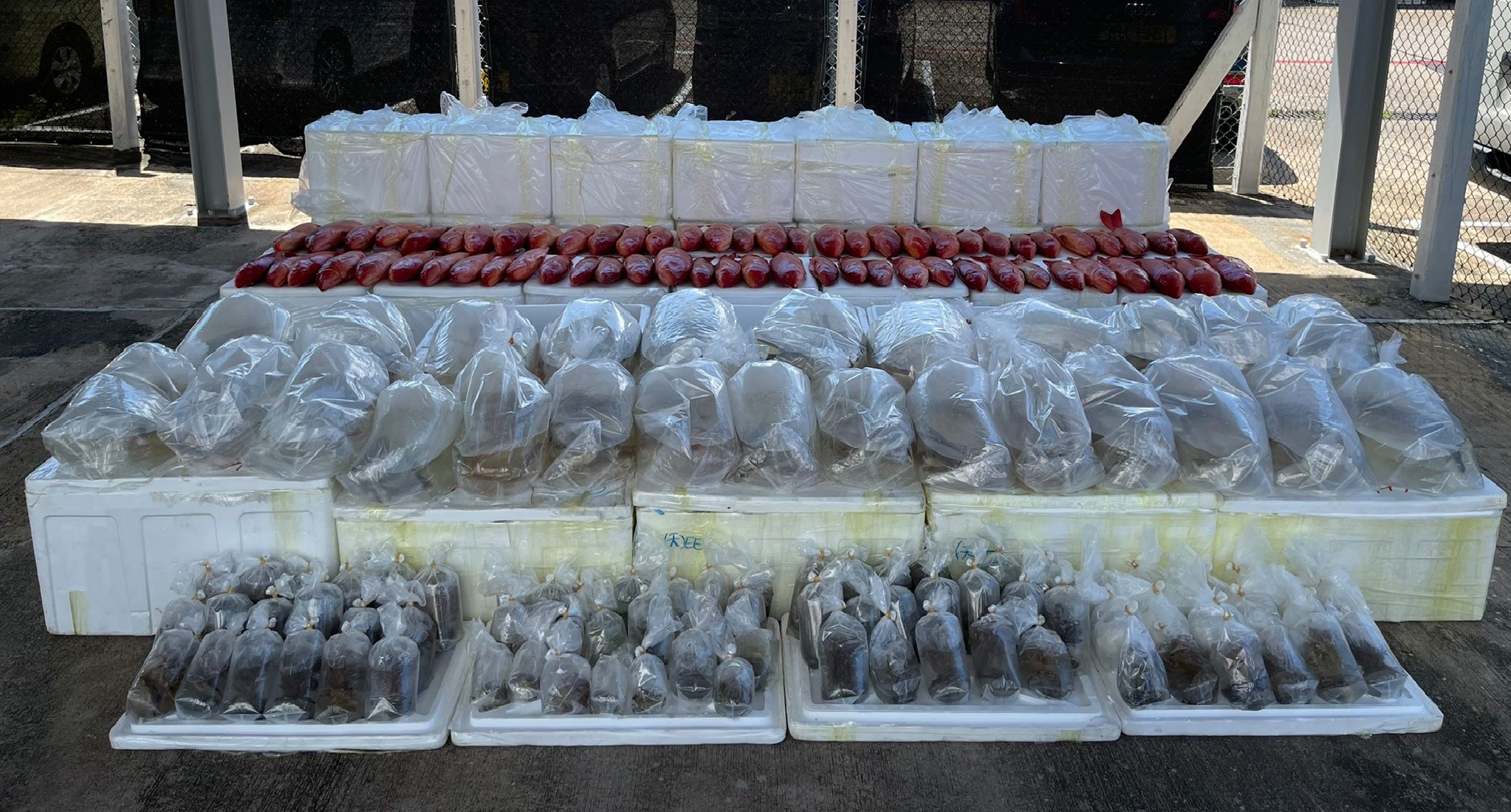 香港海關昨日（19日）在大嶼山分流對開海域破獲一宗涉嫌利用漁船走私的案件，檢獲約400條懷疑受管制活體龍吐珠魚、超過100袋懷疑受管制活體石珊瑚，以及約1,700條冷藏東星斑，估計市值約182萬元。案中3名涉案男子被捕。圖為部份檢獲的懷疑走私貨品。（政府新聞處）