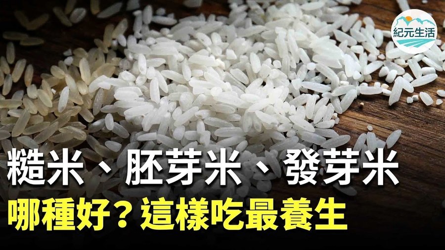 米飯是很健康的主食，能提供人體養分和能量。糙米、胚芽米、發芽米、白米，在加工程度和營養成份上，各有一些差異。