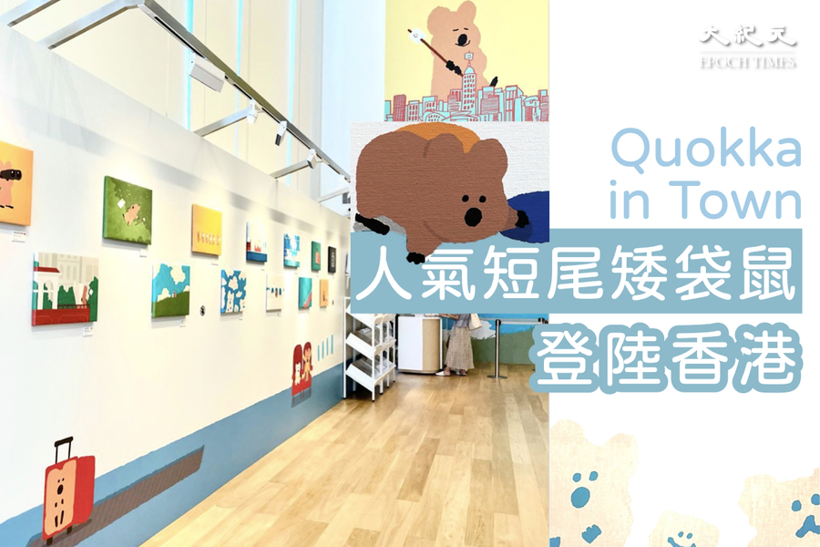 韓國插畫師畫展《Quokka in Town！》於海港城登場