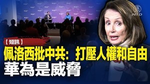 佩洛西批中共：打壓 人權和自由 華為是威脅