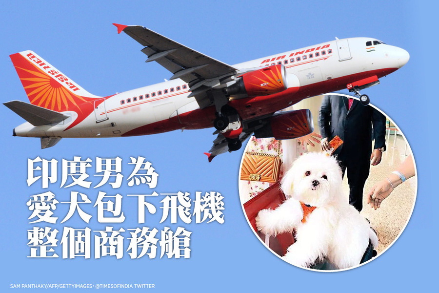 印度男為愛犬包下飛機整個商務艙
