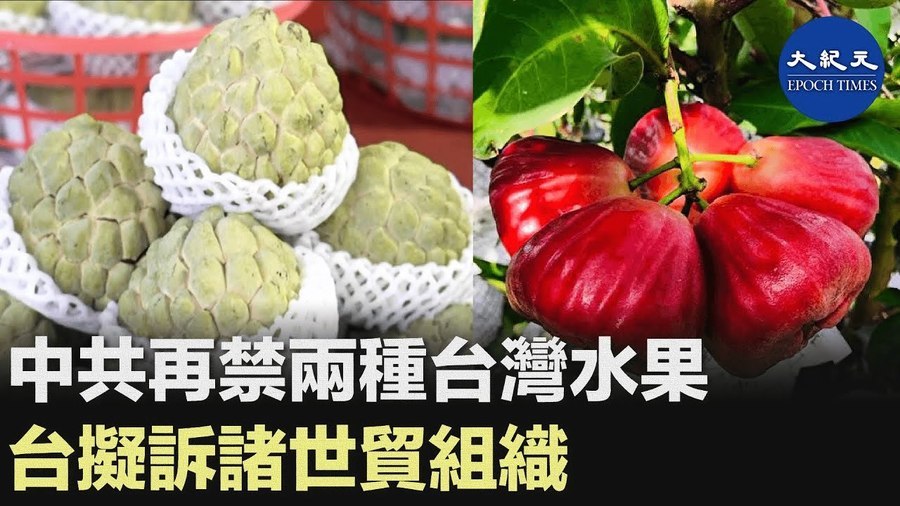 中共再禁兩種台灣水果 台擬訴諸世貿組織