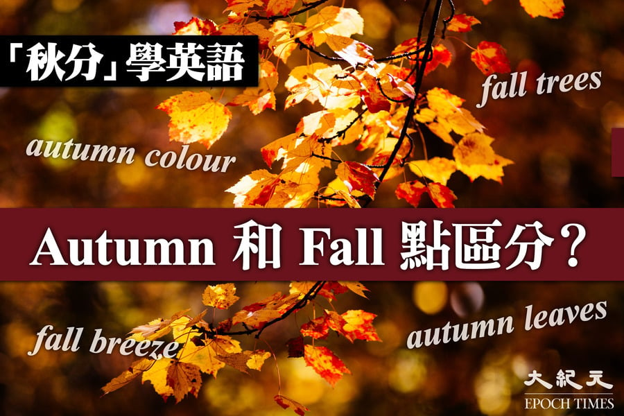 【秋分】Fall和Autumn有何區別？英語常識話你知！