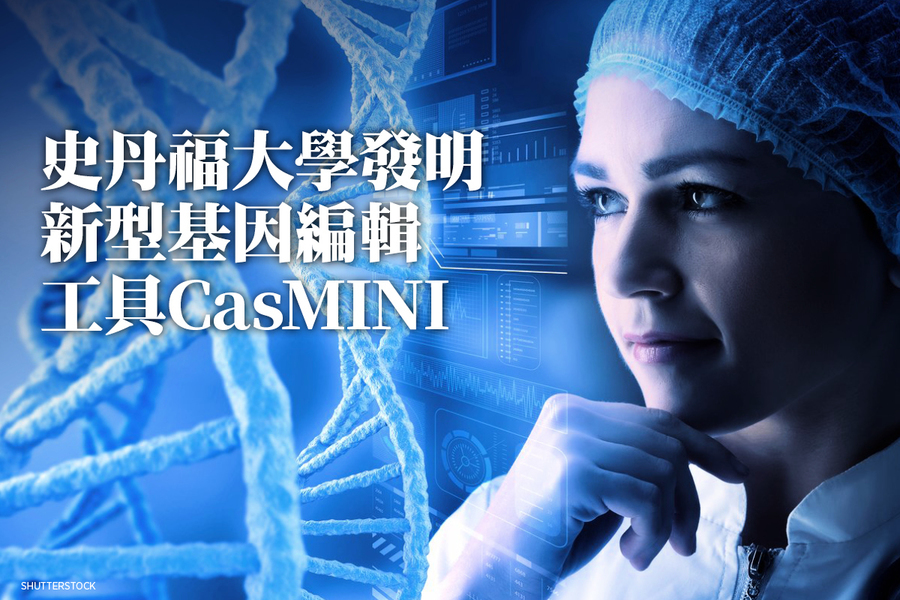 史丹福大學發明新型基因編輯工具CasMINI