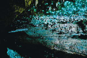 塔斯曼尼亞溶洞與 令人著迷的藍光蟲