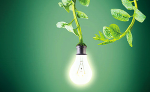 MIT新技術：植物可以充電發光