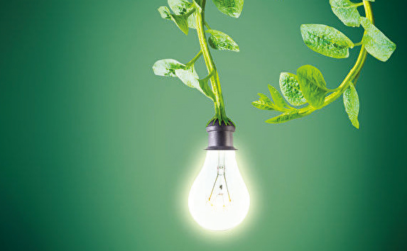 MIT新技術：植物可以充電發光