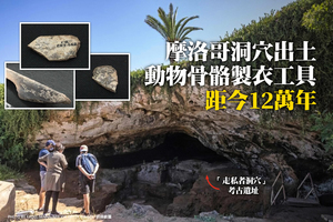 摩洛哥洞穴出土動物骨骼製衣工具 距今12萬年