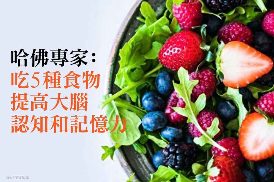 哈佛專家：吃5種食物 提高大腦認知和記憶力