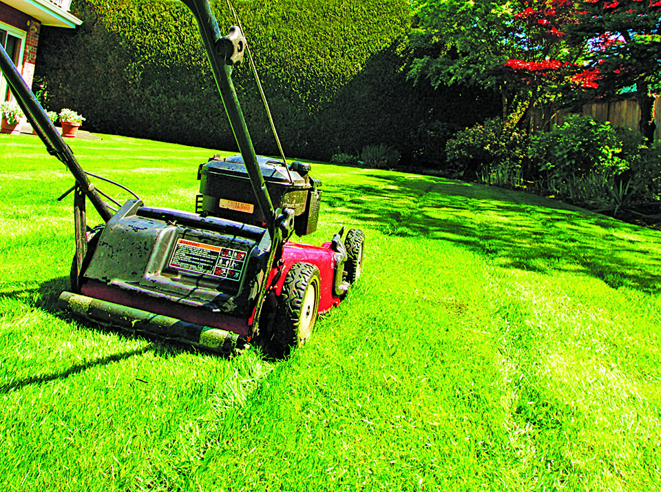 草坪面積過大可以使用割草機。