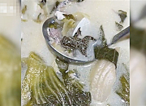 江蘇一名女子在餐廳吃酸菜魚，吃到一半竟「吃出」一隻完整的黑乎乎的癩蛤蟆。（影片截圖）