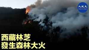 西藏林芝發生森林大火