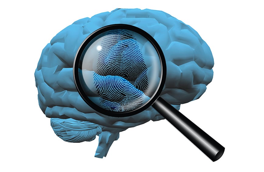 大腦指紋概念圖。（Shutterstock）