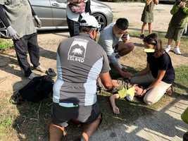 大嶼山貝澳水牛撞學童 10人受傷3人送院