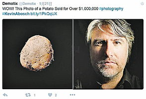一張馬鈴薯照片 售價達百萬美元