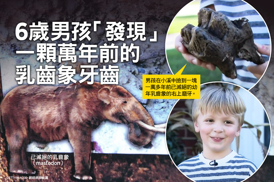6歲男孩「發現」一顆萬年前的乳齒象牙齒