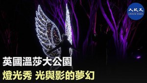 英國溫莎大公園 燈光秀 光與影的夢幻