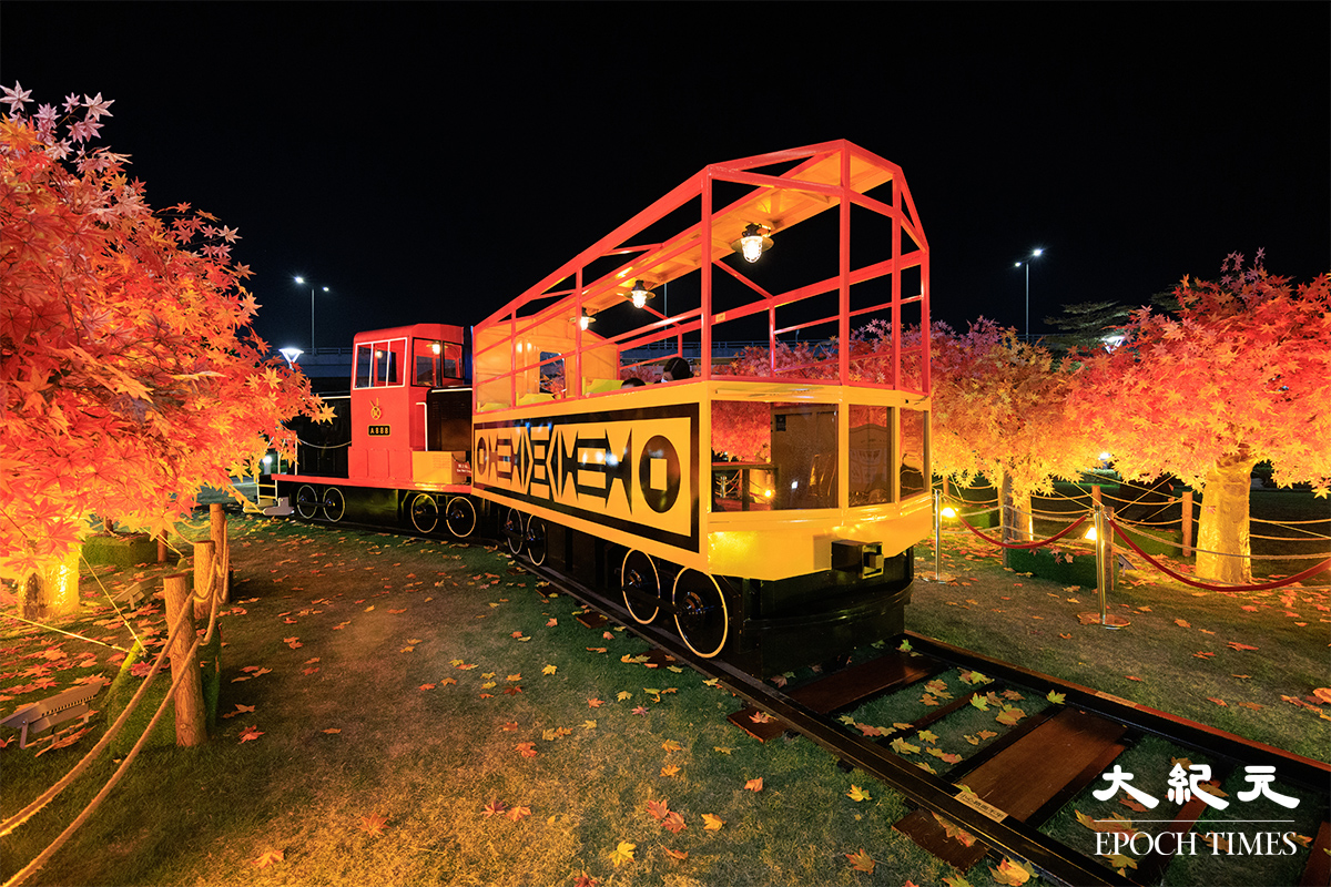 今年聖誕，北角匯和北角碼頭旁的綠化地段設置日系楓樹林，遊客可以與小火車「打卡」。（陳仲明／大紀元）