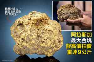 阿拉斯加最大金塊擬高價拍賣 重達9公斤