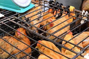 英國部份地區爆發H5N1禽流感 港暫停禽類產品進口