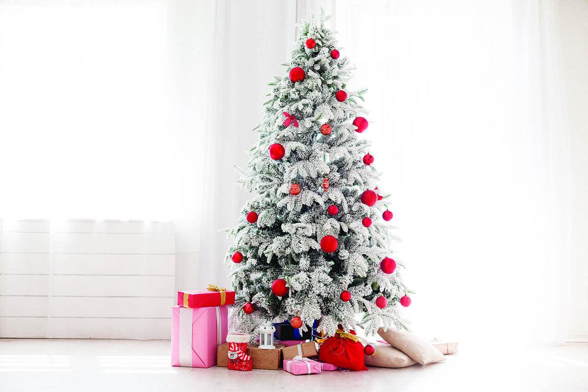整株白色或綠中帶白的聖誕樹給人寧靜的感覺。(圖 / Shutterstock、Fotolia)