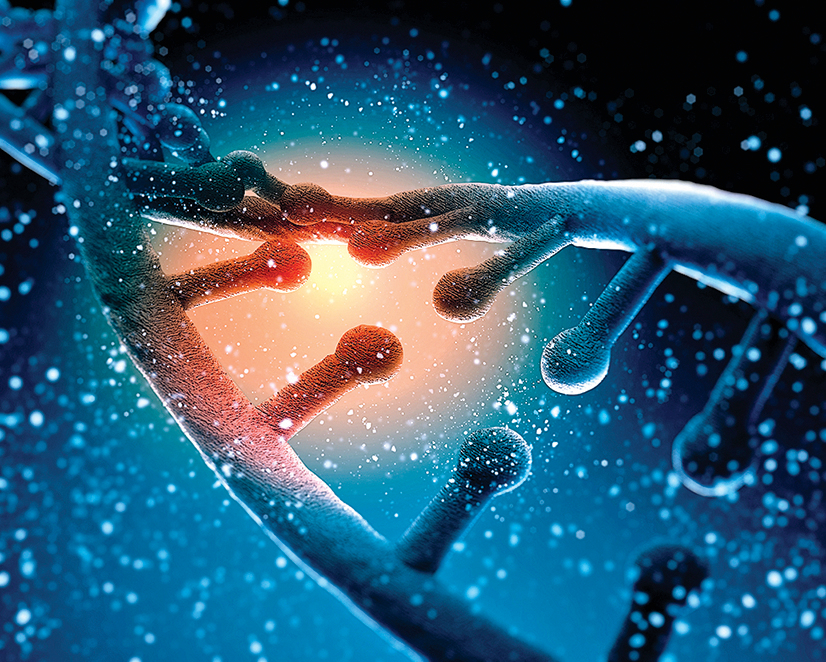 雙螺旋DNA示意圖。（Shutterstock）