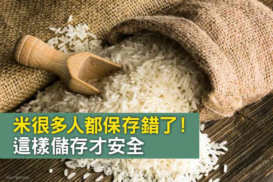 米很多人都保存錯了！這樣儲存才安全