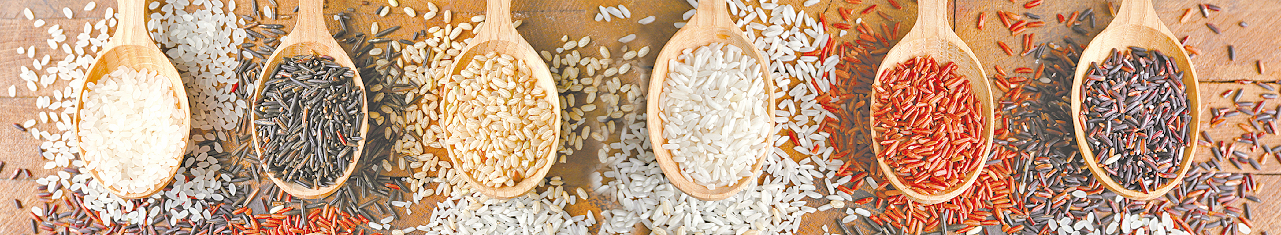 多種米搭配，可以煮出營養更豐富的米飯。(圖／Shutterstock、龔安妮)